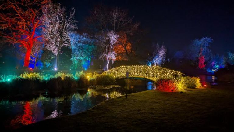 Illuminations At Barnby Hall Gardens, Pocklington