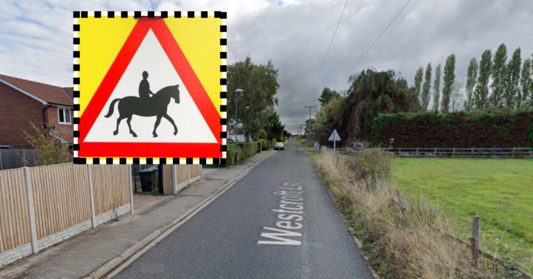 Police Teach Drivers How To Safely Pass Horses And Jockeys