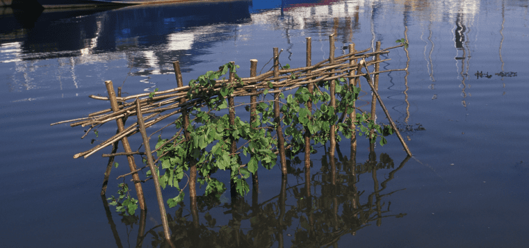 The Ancient Tradition Of Whitby's Penny Hedge