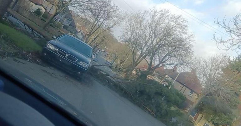 Fallen Tree Blocking Sowden Road In Heaton Area Of ​​bradford