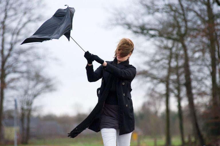 Met Office Issues Warning For 'very Strong' Winds In Bradford