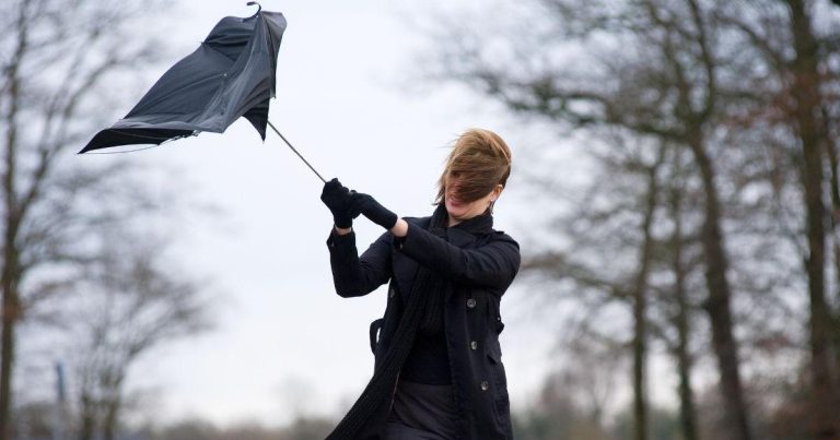 Met Office Issues Warning For Very Strong Winds In Bradford