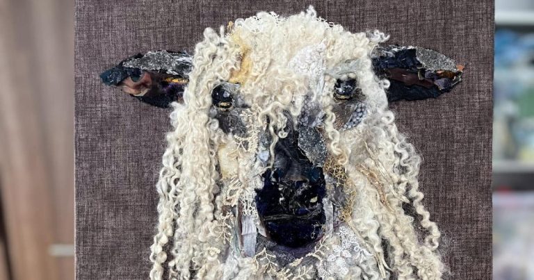 Wensleydale Sheep Exhibition Opens On Tuesday