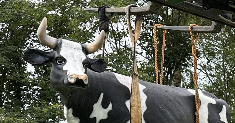 A Life Size Cow Stolen From A Field In North Yorkshire