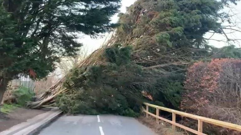 Confusion When Yorkshire Was Attacked By A Storm