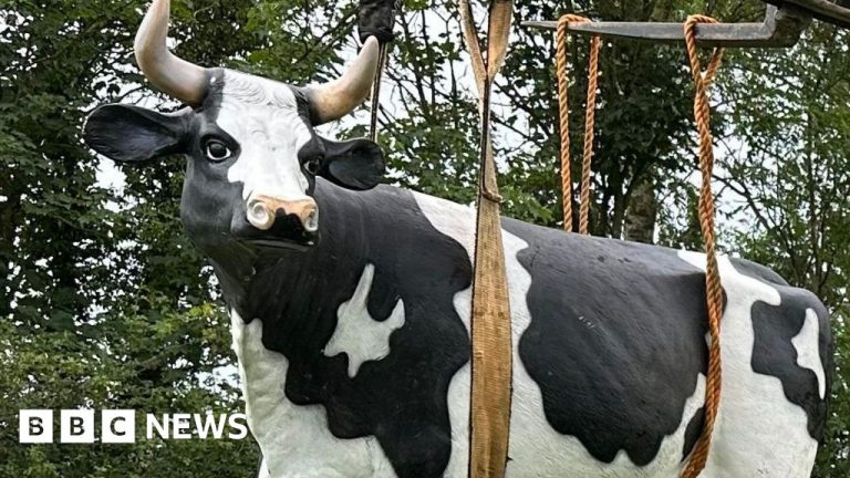 Yorkshire Farmers Seek Return Of Stolen Plastic Life Size Cows