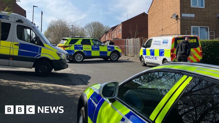Sheffield attempts to arrest murder as "loose" xl bully
