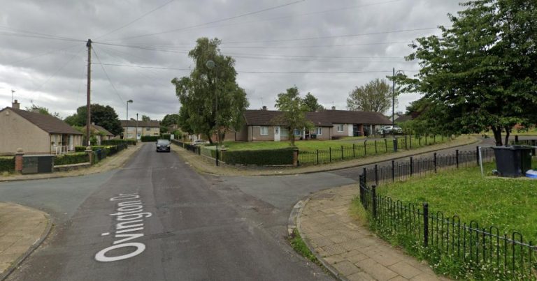 Teenager was attacked with bradford's home wood weapon