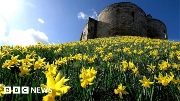 Where to see the best spring flowers in yorkshire